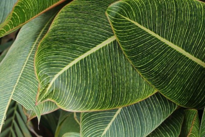 rénovation biosourcée et écologique avec matériaux naturels d'un cabinet médical